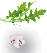 popularDishesShape1 1